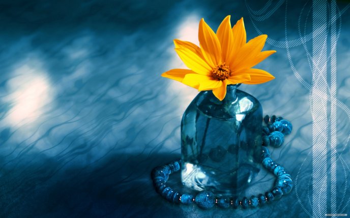 Yellow flower in an ice cube - HD free wallpaper