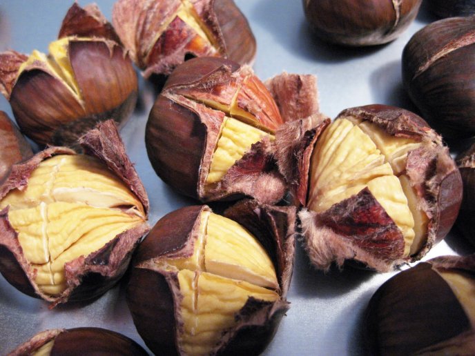 Autumn fruits - delicious roasted chestnuts