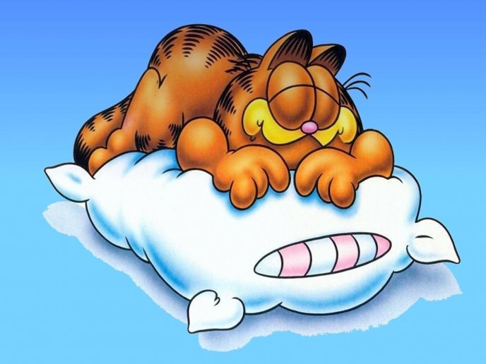 Sleepy Garfield on a fluffy white pillow