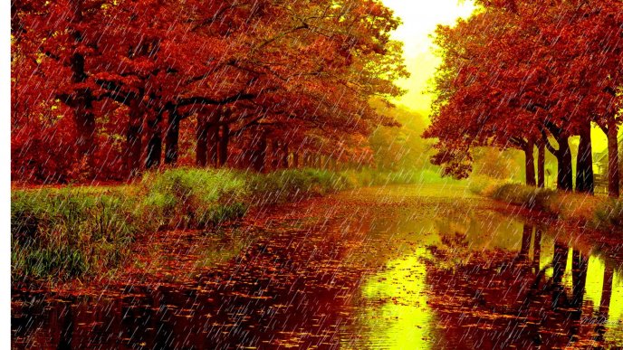 Rainy day in the autumn season - HD free wallpaper