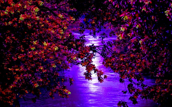Blue autumn night on the lake