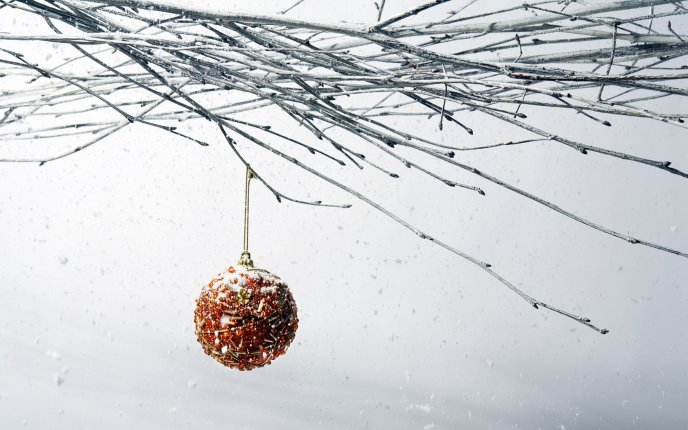 Christmas accessories in the frozen tree - cold winter