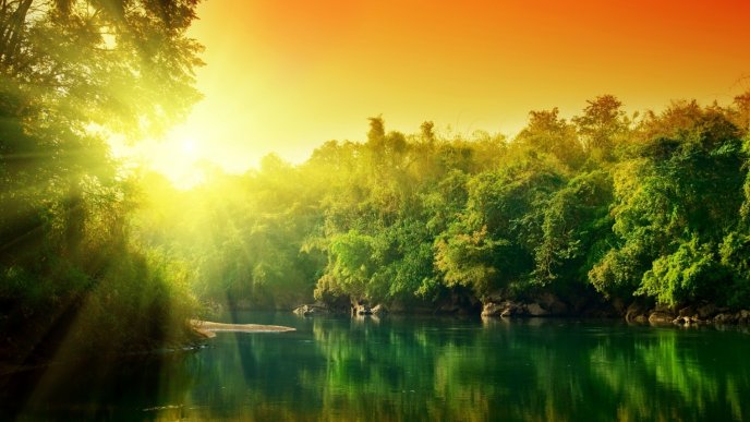 Sunrise over the green nature and lake - HD nature wallpaper