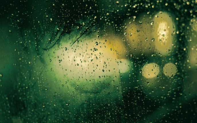 Green rainy day - HD abstract wallpaper