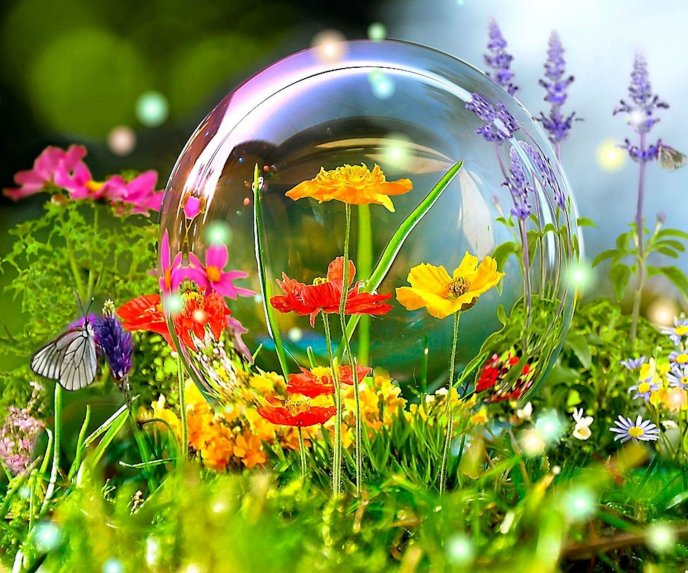 Big bubble soap in the garden -colourful flowers and insects