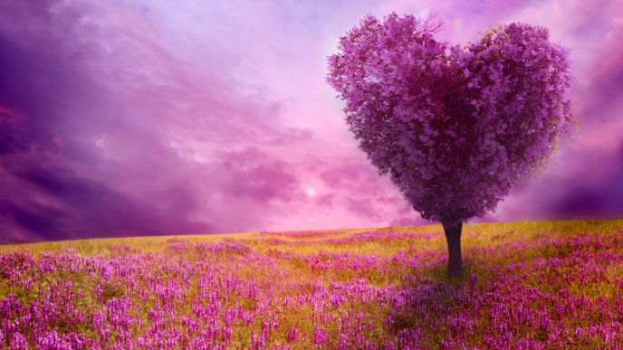 The lovers tree - Pink flowers on the field