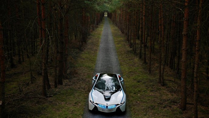 White BMW Vision EfficientDynamics in the forest