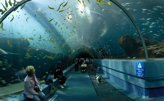 Great aquarium in Georgia, Atlanta - Tourist place