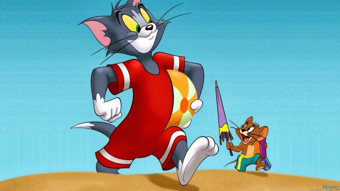 Tom and jerry on the beach in a summer day