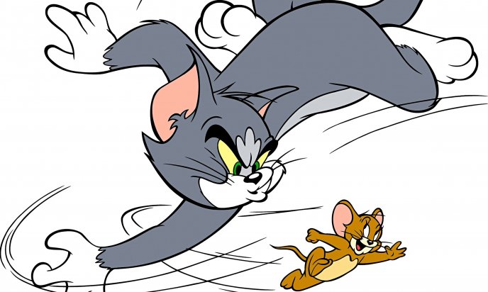 Nervous Tom cat run after the Jerry mouse