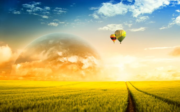 Two colored balloons float over the wheat field