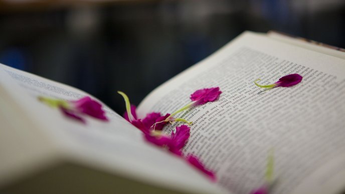 Pink petals in the middle of the book