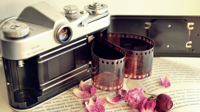 Camera photo and dry pink petals on the book