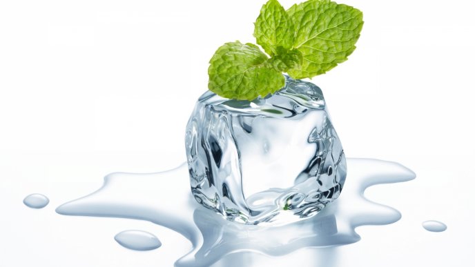 A mint on the ice cube - Fresh HD wallpaper
