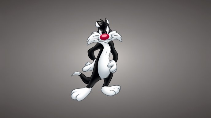 Black and white cat with red nose - Sylvester the cat