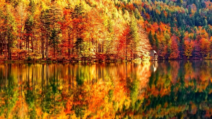 Beautiful Autumn Landscape - Lake and forest