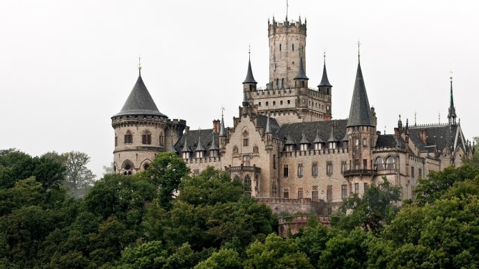 Marienburg Castle from Germany, in the green forest