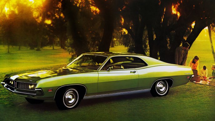 Green Ford Torino 500 on field under trees