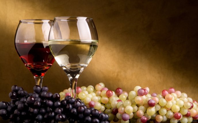 Autumn harvest - grape and wine