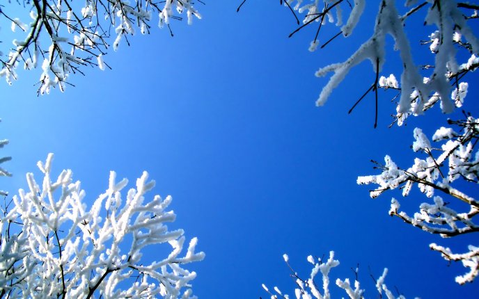 Beautiful blue winter sky - HD wallpaper