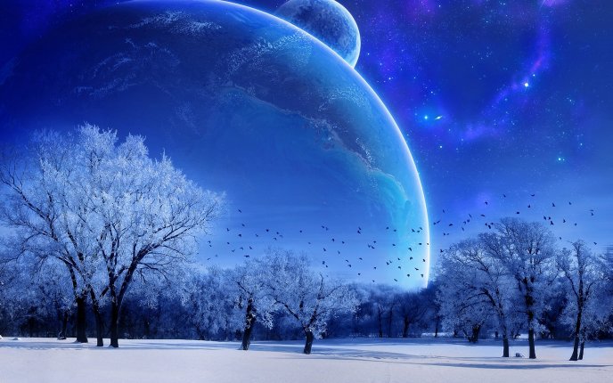 Blue cold night - big moon in the winter season