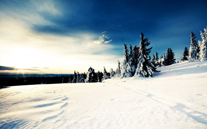 Wonderful winter landscape - white snow and blue sky