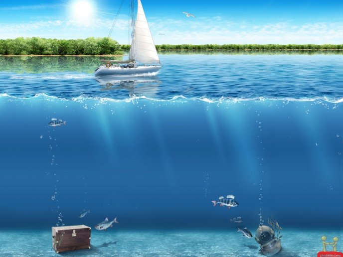 3D underwater wallpaper - fish and stuffs