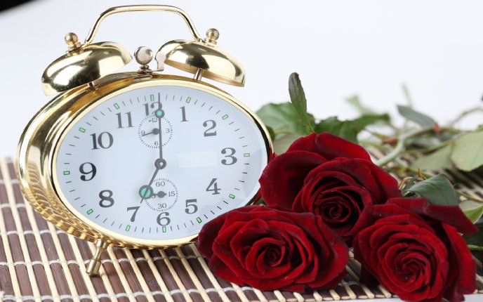 Seven clock in the morning - beautiful red roses