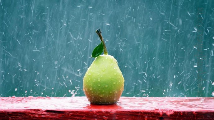 Rain over a delicious pear - HD wallpaper