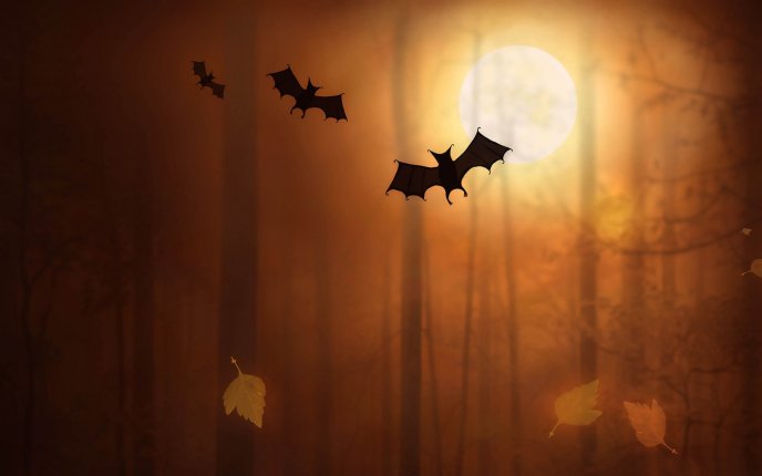 Bat in the light of moon - Happy Halloween night
