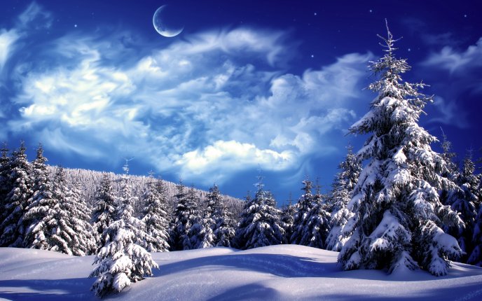 Blue magic winter night - Big moon over the forest