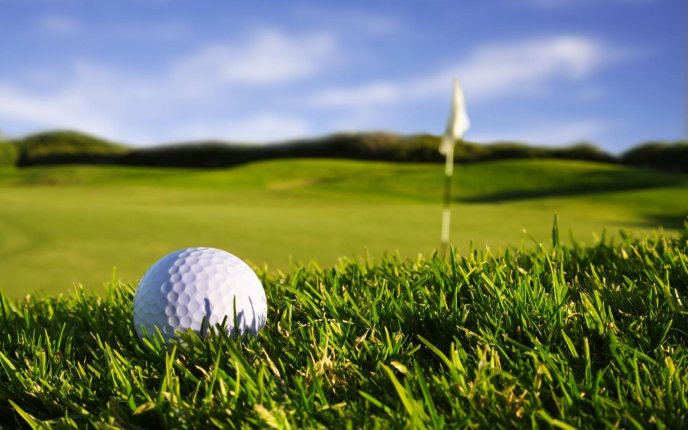 Macro golf ball on the sport field - HD wallpaper