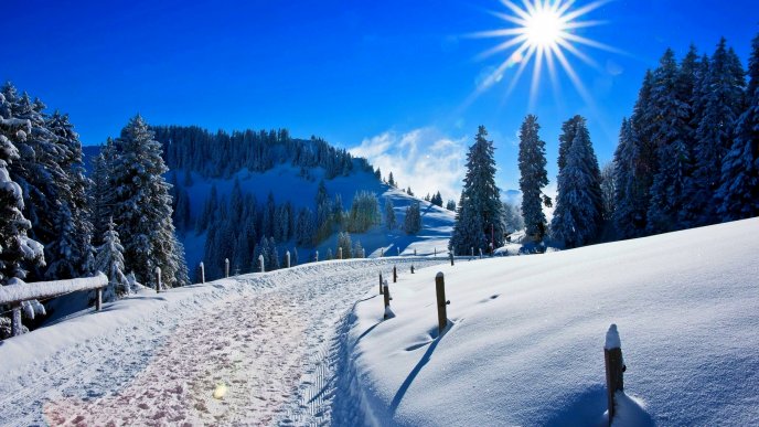 Sunny winter day on the mountain - HD wallpaper