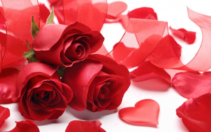 Three lovely red roses for a special person - Valentines Day