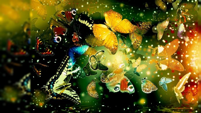 Wonderful butterflies fling - Abstract wallpaper