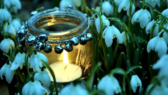 Candle in a jam in the middle of snowdrops
