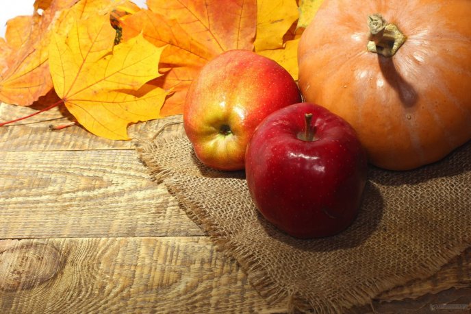 Pumpkin and apples - Autumn fruits food and vitamin