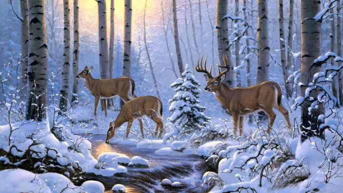 Deer family in the forest drinking cold and fresh water