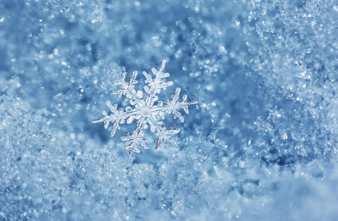 Perfect snowflake on a cold winter day - HD wallpaper season