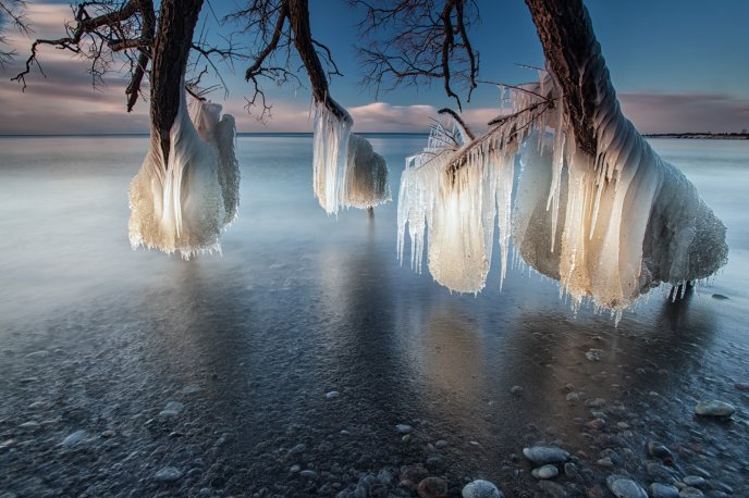 Wonderful ice effect on trees - Nature and water are magic