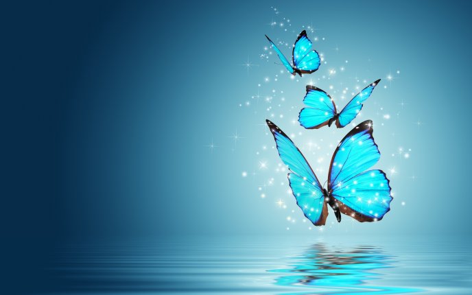 Blue azur butterflies - Mirror in the water - HD wallpaper