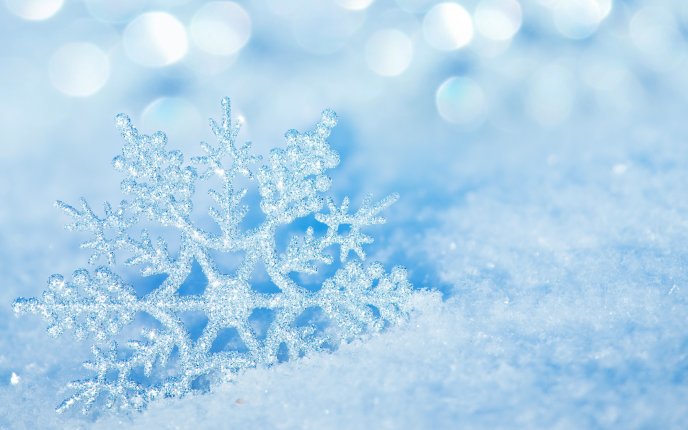 Macro perfect frozen snowflake - Winter season time