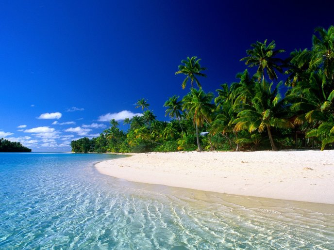 Wonderful relaxing time on a exotic island - Summer Holiday