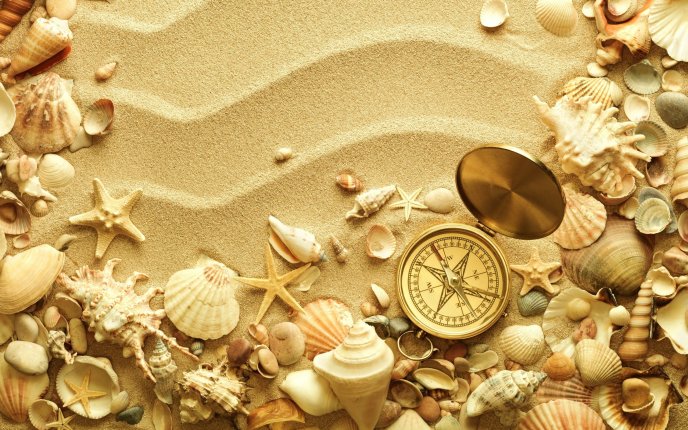 Wonderful photo frame made from golden sand and shells