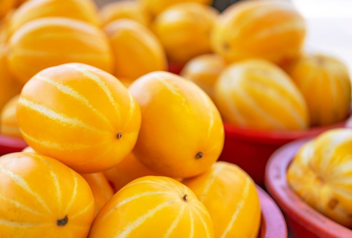 Yellow melon fruit - Exotic and tasty delicious