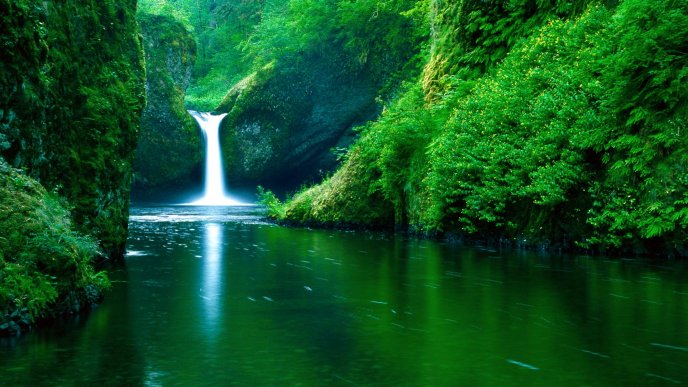 Wonderful white water on a beautiful waterfall -Green nature