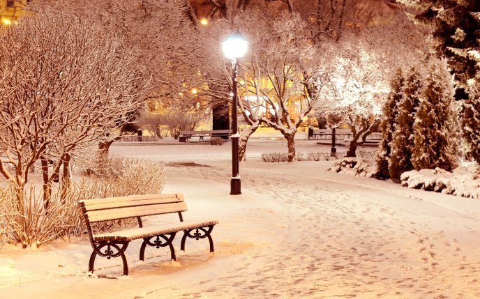 Snow in the park - Winter season night