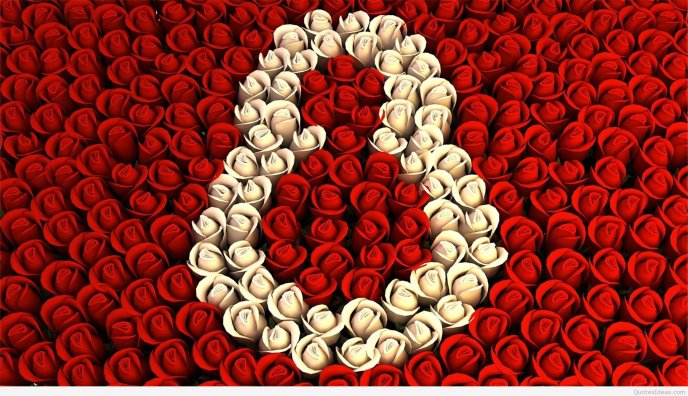 Red and white roses for all women in the world - 8 March
