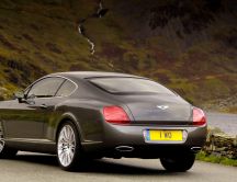 Bentley Continental back