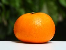 Big orange